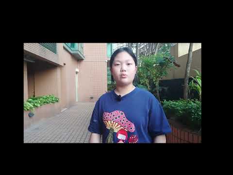 video-image