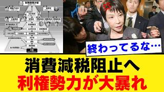 【財務省解体論】消費減税を愚策と叩くオールドメディアの異常性。なぜメディアは国民の生活より利権を守るのか？【徹底解説・社会保障・国民の声】