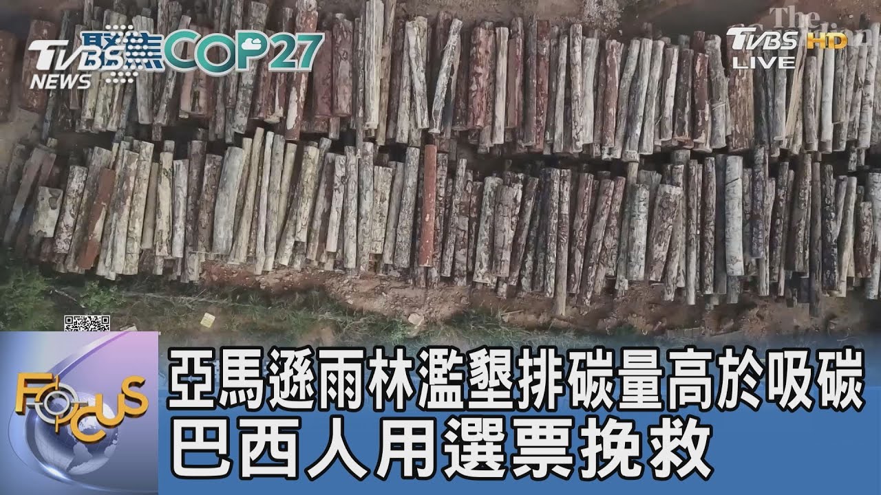 亞馬遜雨林濫墾排碳量高於吸碳 巴西人用選票挽救