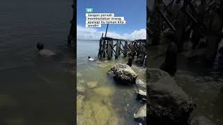 Download lagu Everyone is equal in the eyes of God #mygantin #majelisilmu #advice mp3 Download lagu Everyone is equal in the eyes of God #mygantin #majelisilmu #advice mp3