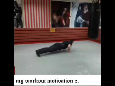 Firdavs freestyle fit