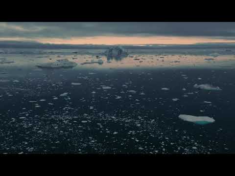 Camiel - Akilia (Official Video Clip)