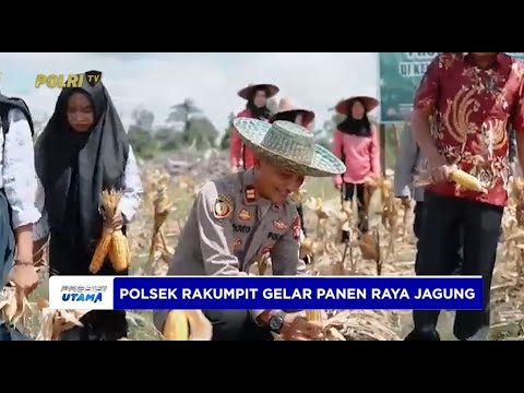 POLSEK RAKUMPIT GELAR PANEN RAYA JAGUNG DUKUNG KETAHANAN PANGAN