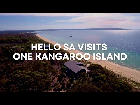 One KI & Walcowrie Featured on Hello SA | One Kangaroo Island