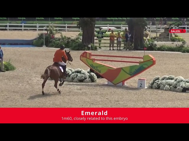 Implanted Embryo Comme il Faut x Kannan