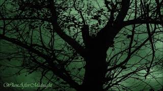 Type O Negative with Ozzy Osbourne ★ Pictures Of Matchstick Men [HQ]