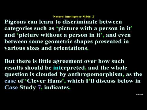 Natural intelligence M366_2 *** MATH