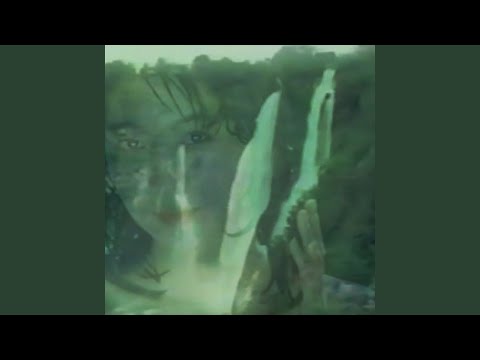 心はシダであります