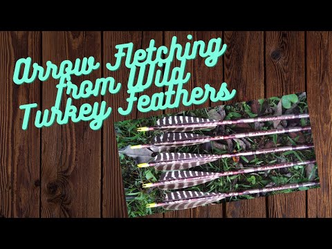 How to Make Arrow Fletching from Wild Turkey Feathers