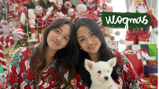 vlogmas day 23 ♡ winter things song cover