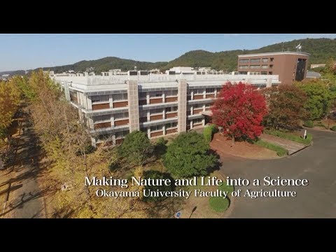 Faculty Of Agriculture Top Scholarships Scholarship Information