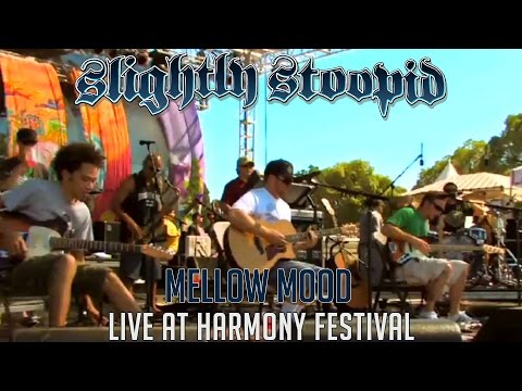 Mellow Mood (Acoustic) - Slightly Stoopid (Live at Harmony Festival)