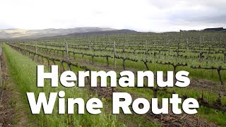 The Hermanus Wine Route - South Africa
