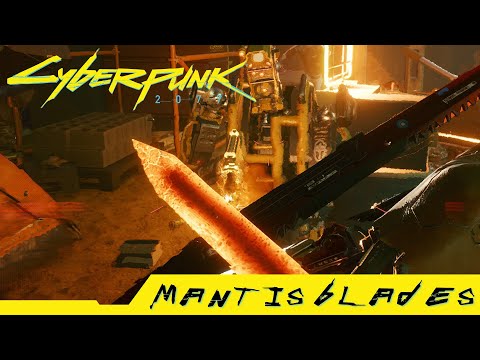 Cyberpunk 2077 - Where can you get Mantis Blades Legendary Cyberware