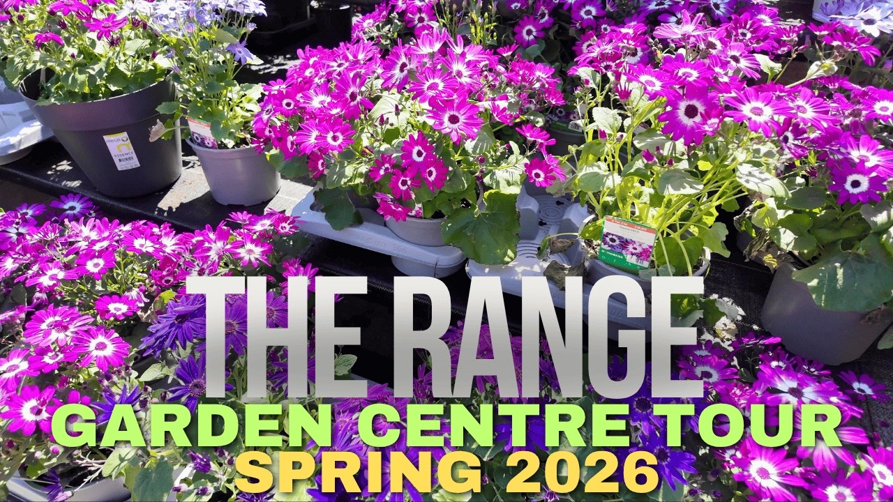 The Range Garden Centre Tour - Stunning Outdoor Plants for Spring 2026
