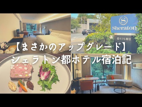 芸術・表現行動学科 【感動】シェラトン都ホテル宿泊記〜マリオットゴールドでみやびフロアデラックスにアップグレード&カフェ カリフォルニアでディナーを堪能〜