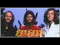 BEE GEES: Stop Think Again