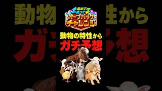 【モンスト】十三支再競争ガチ考察 #モンスト #モンスト攻略#モンスターストライク #オーブバックチャレンジ