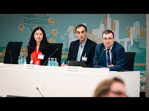 2024 ECB Annual Banking Supervision Research Conference Session 2 - Paper 6