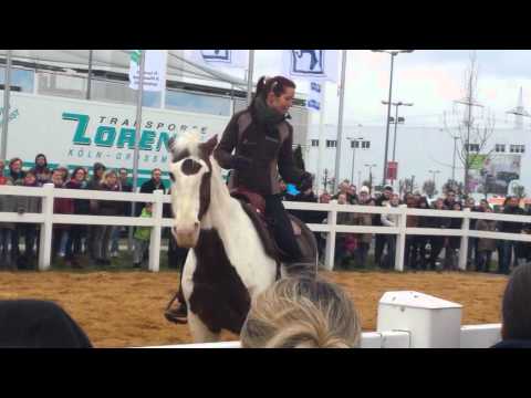 Kraemer Pferdesport Jubiläum - Auftritt Sandra Schneider