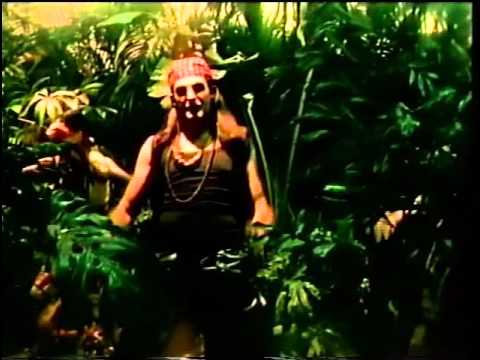 Java Jungle