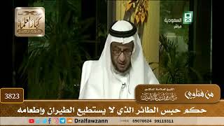 [3823] حكم حبس الطائر الذي لا يستطيع الطيران وإطعامه - صالح الفوزان