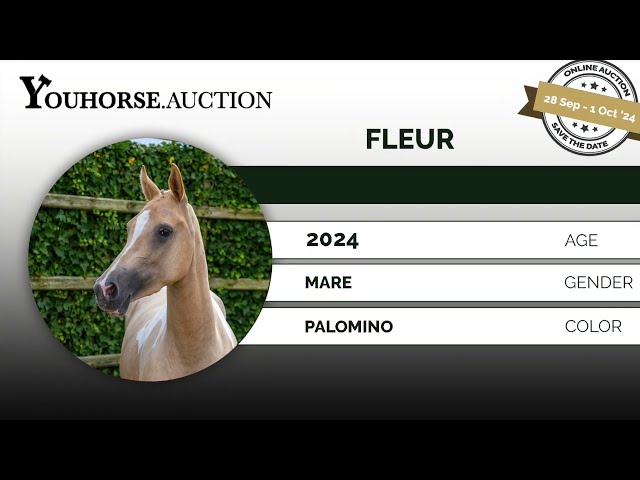 Fleur under the saddle