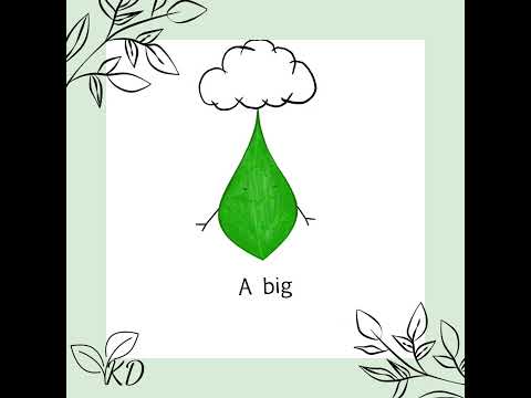 Meet Phyll! He’s a little leaf in a big world. Follow him as he experiences therapy for the first time