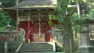 新城・鳳来寺と東照宮