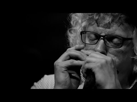 Jazz Harmonicat Hendrik Meurkens - Jazz Video Guy Live - 6.8.20
