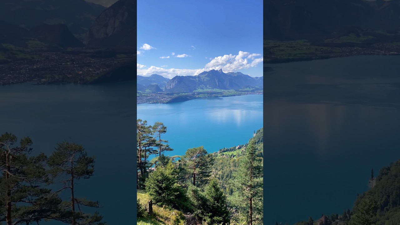 YouTube Short thumbnail