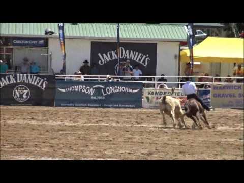 Warwick 2016, Gold Cup Final, Hugh Miles & Dreamtime.