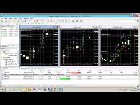 Video The Stalker Elite