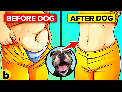 What Happens To Your Body When You Have A Pet Dog