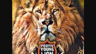Positiv Young Lion - Des Vibes à l'ancienne