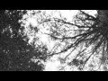 Psithurism 