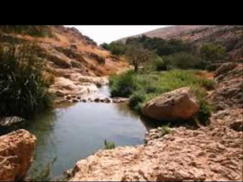 חופים   Perla Malcos   Las Playas   spanish version