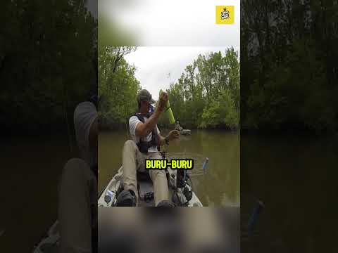 BUKANYA PIRANHA TAPI MALAH .......?