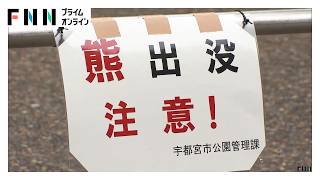 クマが宇都宮市中心部を駆け抜ける「初めてで驚いた」　小中学校は休校に　関東各地で目撃相次ぐ（2026年06月08日）