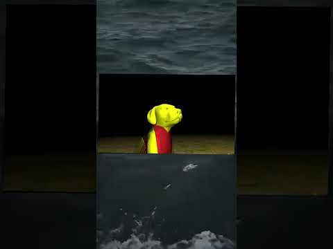 bẩn xe 🐧 #memes #tiktok #funny