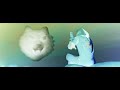 LSD - Thunderclouds (Official Video) ft. Sia, Diplo, Labrinth | CISUM - reversed music LSD - Thunderclouds (Official Video) ft. Sia, Diplo, Labrinth | CISUM - reversed music