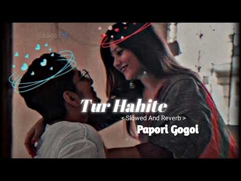 Tur Hahite [ Slowed And Reverb ] | Papori Gogoi | Assamese lofi song 