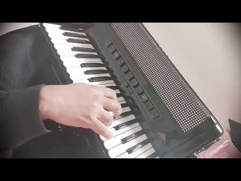 Excelsior AC Model Akkordeon Accordion Klangprobe Test Proba