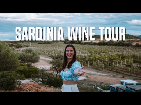 Tasting Wines in Sardinia | They're Delicious