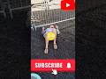 I M Getting Dizzy Just Watching This Fail Fall Funny Afv Shorts