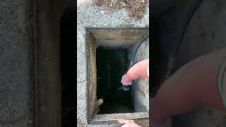 Album cover: Drainage videos