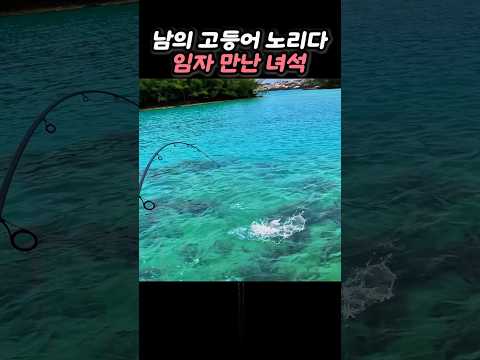 낚시에 걸린 고등어를 노리다 임자 만난 녀석