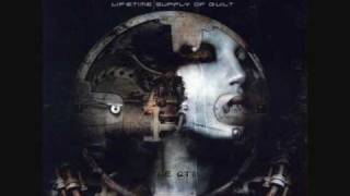 The Duskfall - Shoot It In