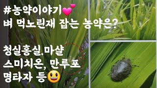 #농약