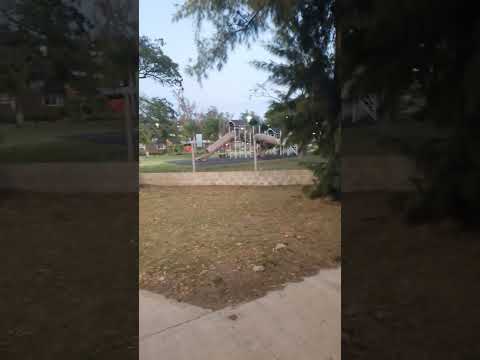 Despierta Curuzu Cuatia Corrientes